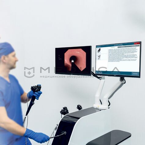 MedVision EndoVision, 3