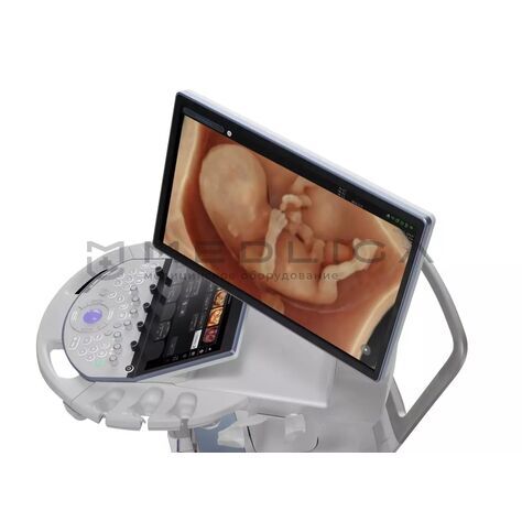 GE HealthCare Voluson Expert 22, 4