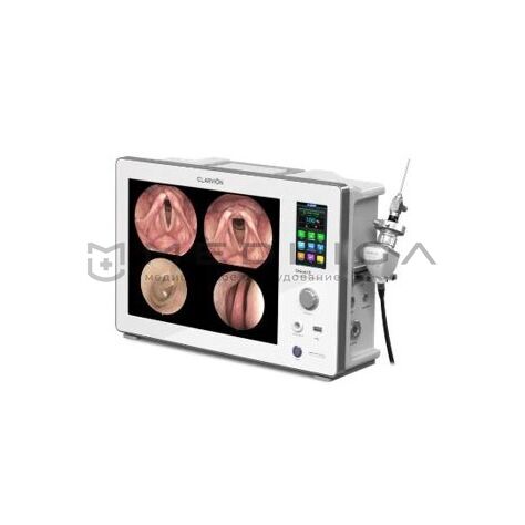 Chammed QVION 15 (Full HD), 2