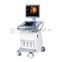GE Healthcare Voluson E6
